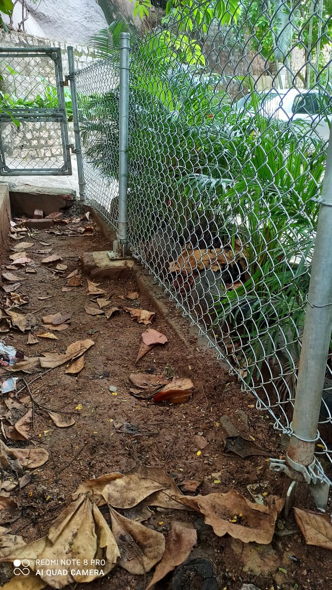 garden fence small